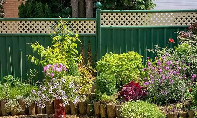 Green ColourFence with cream lattice trellis